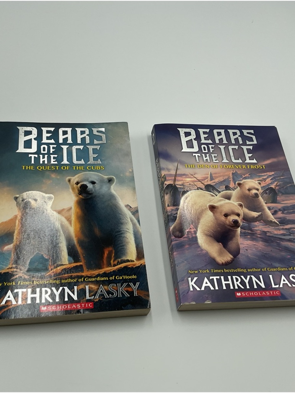 Scholastic Cubs on a Mission Paperback - Blue, Purple, Cream